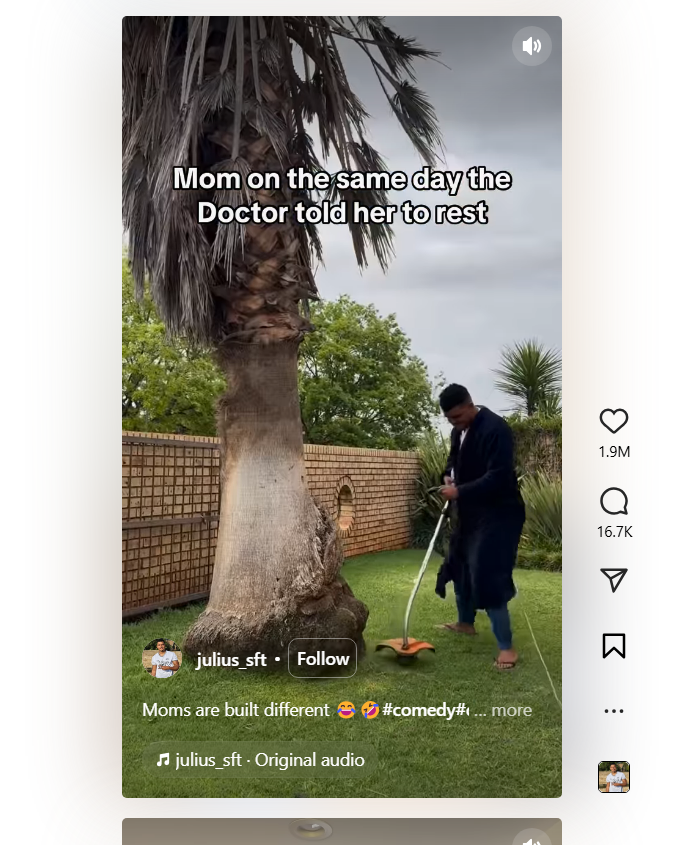 Instagram Reels